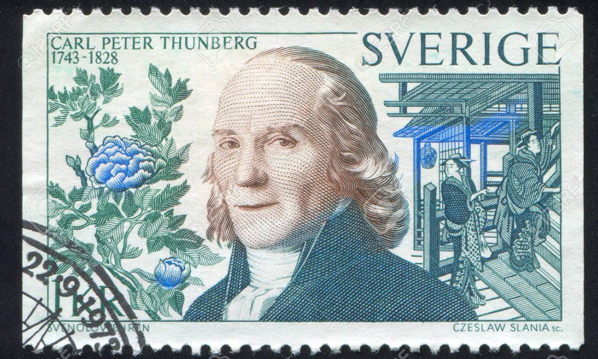 Carl Peter Thunberg,